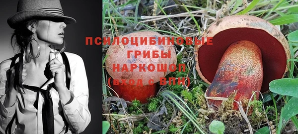 спиды Абаза