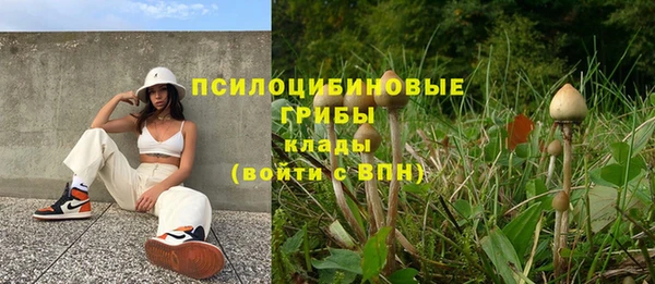кокс Абдулино