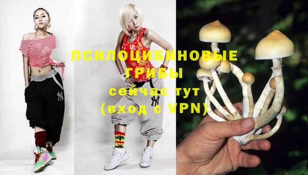 эйфоретик Абинск