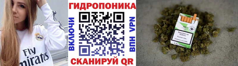 Марихуана White Widow  Чулым 